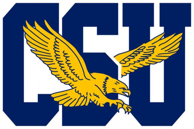 Coppin State Eagles 2017-Pres Primary Logo iron on paper